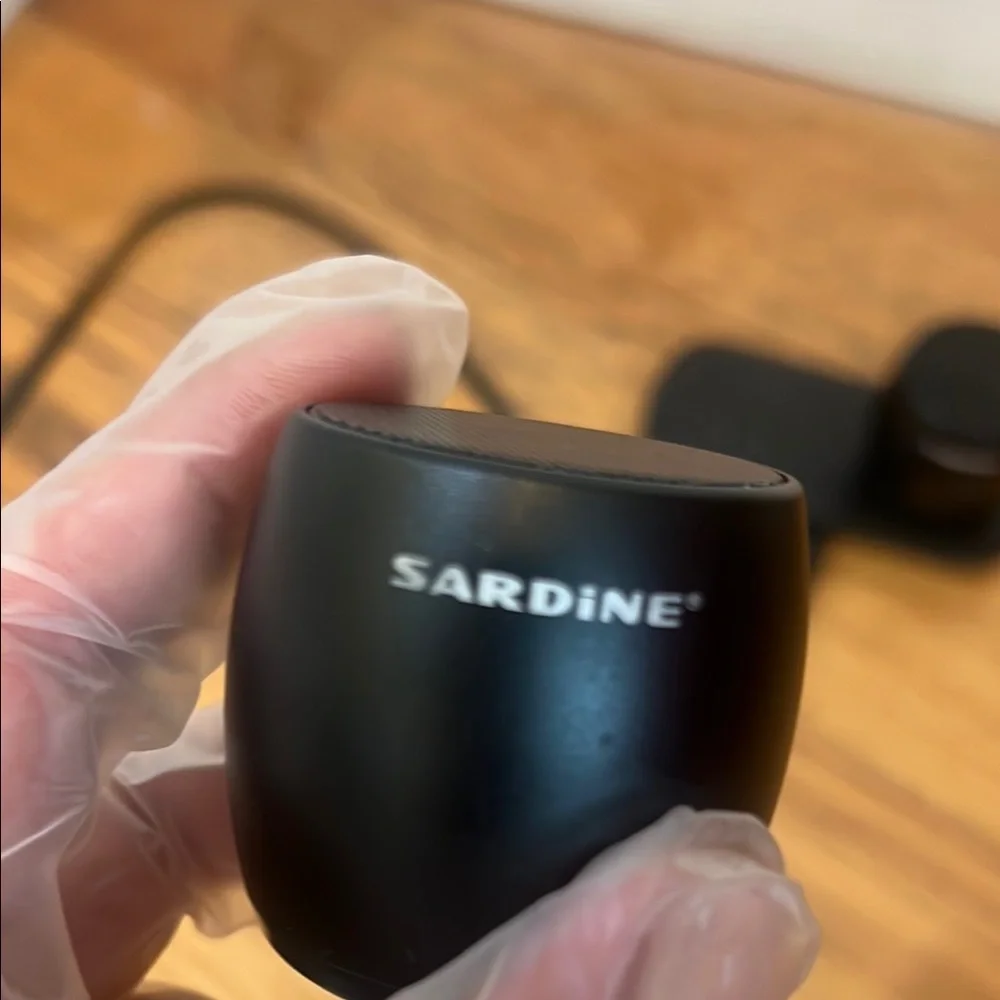 sardine experience high